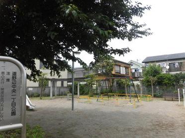公園全体