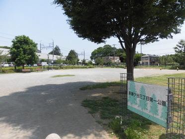 公園全体