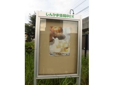 しんかま情報BOX