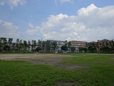 広い公園です