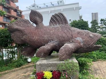 シーラカンス