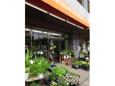 店前にはたくさんのお花があります