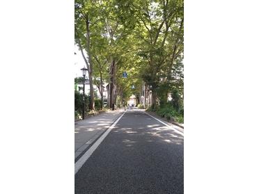 散歩道 散歩道