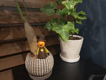 置いただけ①