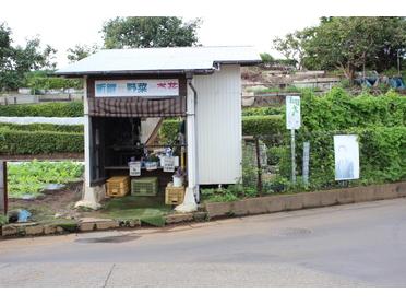 新鮮な野菜とお花のお店