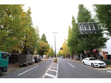 プラチナ通り プラチナ通り