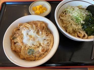 かき揚げ丼+Aセット