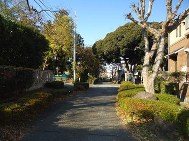 かえで通り