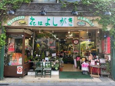 緑が青々と印象的な店頭です