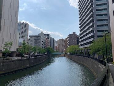 近くに流れている呑川です。なんだか蒲田ではない風景