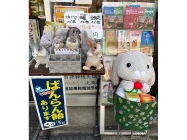 お店の前でたくさんのうさぎちゃんが出迎えてくれます