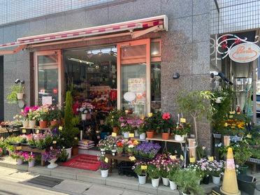 店頭には色とりどりのお花が並べられています
