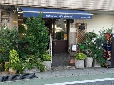 店頭には緑がたくさん並んでいます