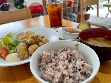 大豆グルテンの唐揚げ定食