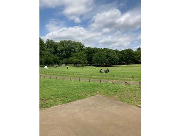 あたり一面緑広がる公園