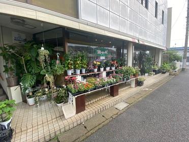 お店の外にもたくさんのお花♪