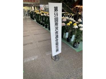 59回目!かなり歴史がある展覧会でした。