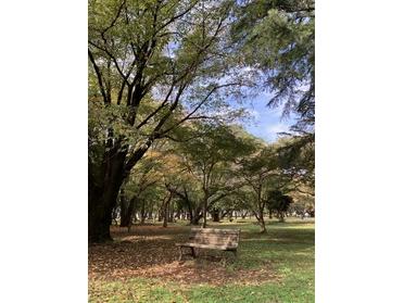 航空公園