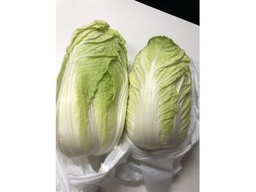 白菜