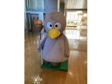 コバトンいたよ