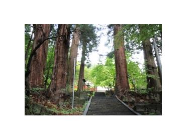本宮へ登る階段