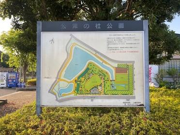 公津の杜公園の全体像です。 公津の杜公園の全体像です。