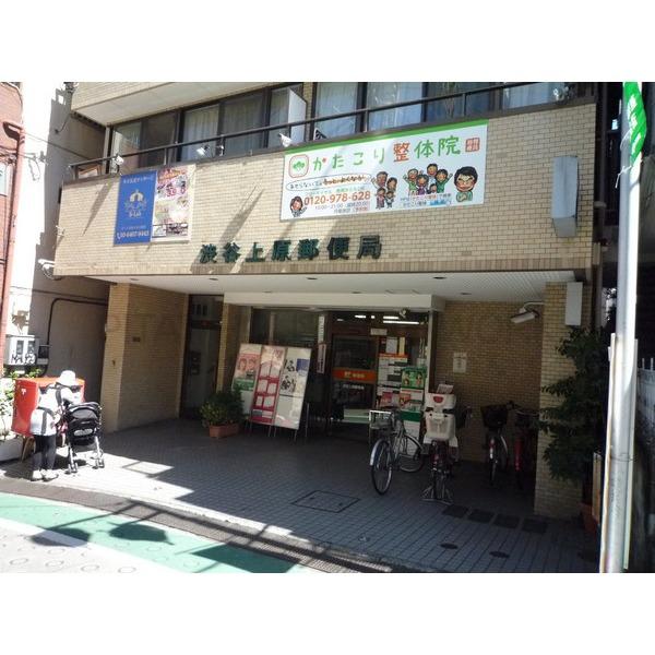 ドラゴンマンション代々木上原壱番館 東京都渋谷区上原 賃貸マンションのことならピタットハウス ドラゴンマンション代々木上原壱番館 東京都渋谷区上原 賃貸マンションのことならピタットハウス