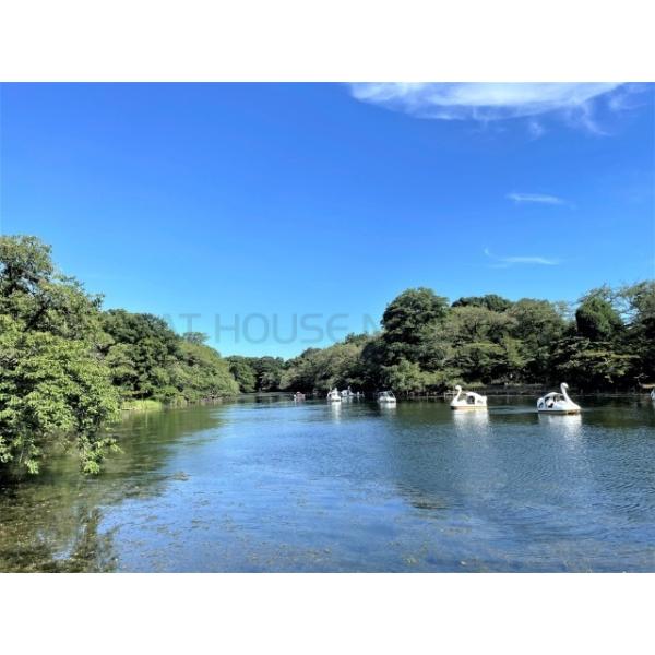 吉祥寺ｖ ｓ ｂｌｄ 東京都武蔵野市吉祥寺本町 賃貸マンションのことならピタットハウス