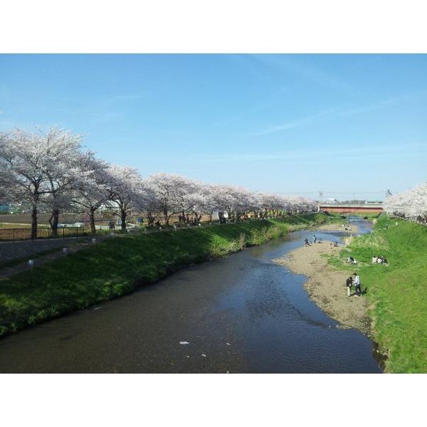 ピタットハウス ｒｅｇｉｎｏｕｓ 1ldk 1階 朝霞台駅の賃貸情報