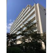 ライオンズ竹ノ塚ブロッサムシティ 外観写真1 2016年4月建築、総戸数138戸のマンション