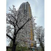 埼玉県を代表する高層タワーマンション