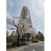 埼玉県を代表する高層タワー住宅
