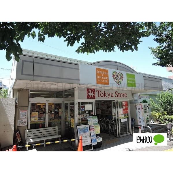 ピタットハウス コーラル宮崎台 1k 3階 宮崎台駅の賃貸情報 R