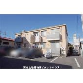ディアス　ルピナス