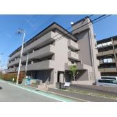 外観もきれいです