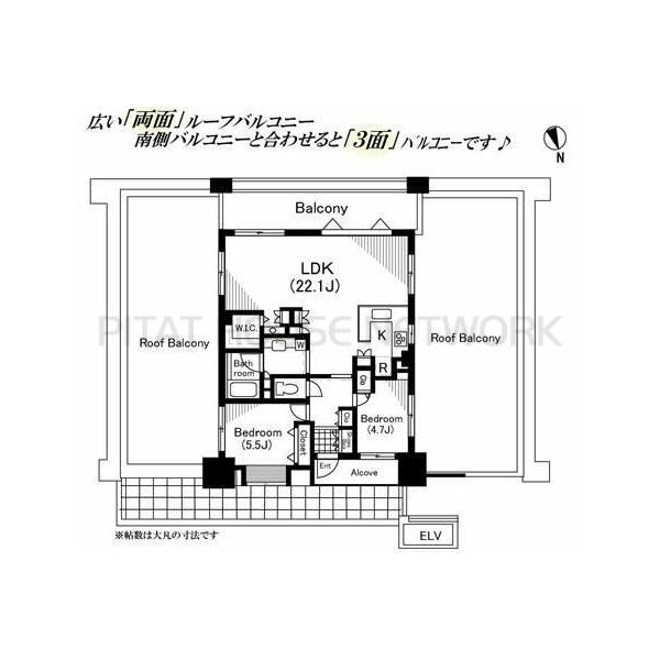 ご家族様向けです！