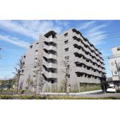 平坦地です