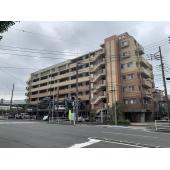 分譲タイプです