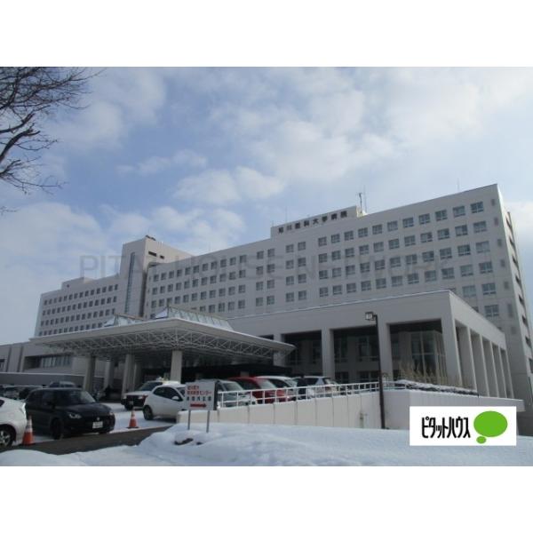 セナール医大前b 北海道旭川市緑が丘東四条 1ldk 2階 西御料駅の賃貸情報 Tx ピタットハウス セナール医大前b 北海道旭川市緑が丘東四条 1ldk 2階 西御料駅の賃貸情報 Tx ピタットハウス