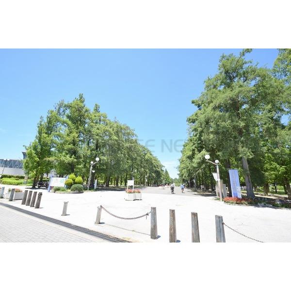 ピタットハウス 大阪市鶴見区焼野マンション 3ldk 4階 鶴見緑地駅の賃貸情報 Xu ピタットハウス 大阪市鶴見区焼野マンション 3ldk 4階 鶴見緑地駅の賃貸情報 Xu