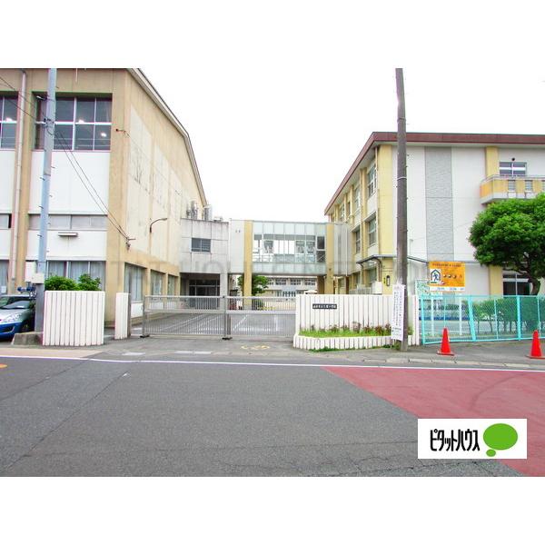 ピタットハウス チェルシー 2dk 3階 岐阜駅の賃貸情報 Yy