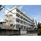 円明寺ヶ丘団地B棟 周辺環境写真1 万代長岡京店：818m