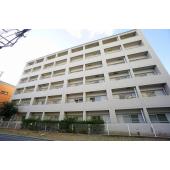 オンライン内覧実施中