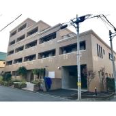 2019年11月撮影