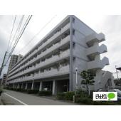 落ち着いた外観のマンションです
