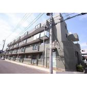 外観は落ち着いています