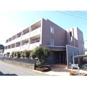 外観もきれいです