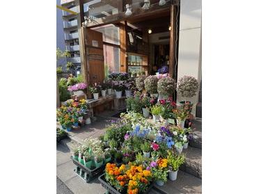 街ピタ 店舗ブログ ピタットハウス西葛西店