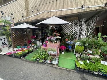 蓮沼駅すぐの花屋さん Astinaパリ ピタットハウスの地域情報発信ブログ 街ピタ