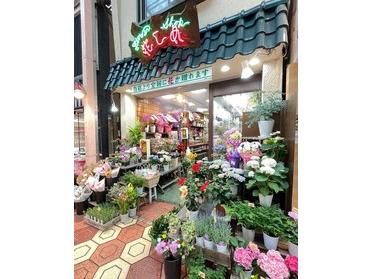 日常にお花を添えてみませんか 花しめ ピタットハウスの地域情報発信ブログ 街ピタ